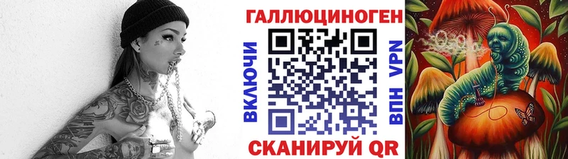 Псилоцибиновые грибы Psilocybine cubensis  Первомайск 