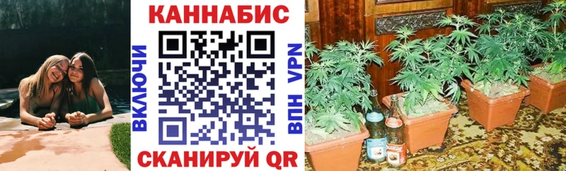 Конопля семена Первомайск